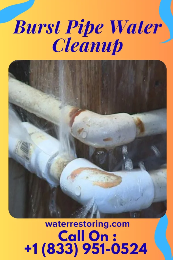 Burst Pipe Water Cleanup in Foreston, SC