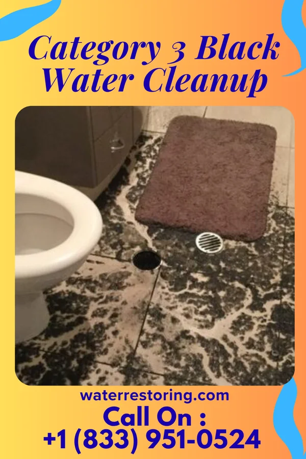 Category 3 Black Water Cleanup in Foreston, SC