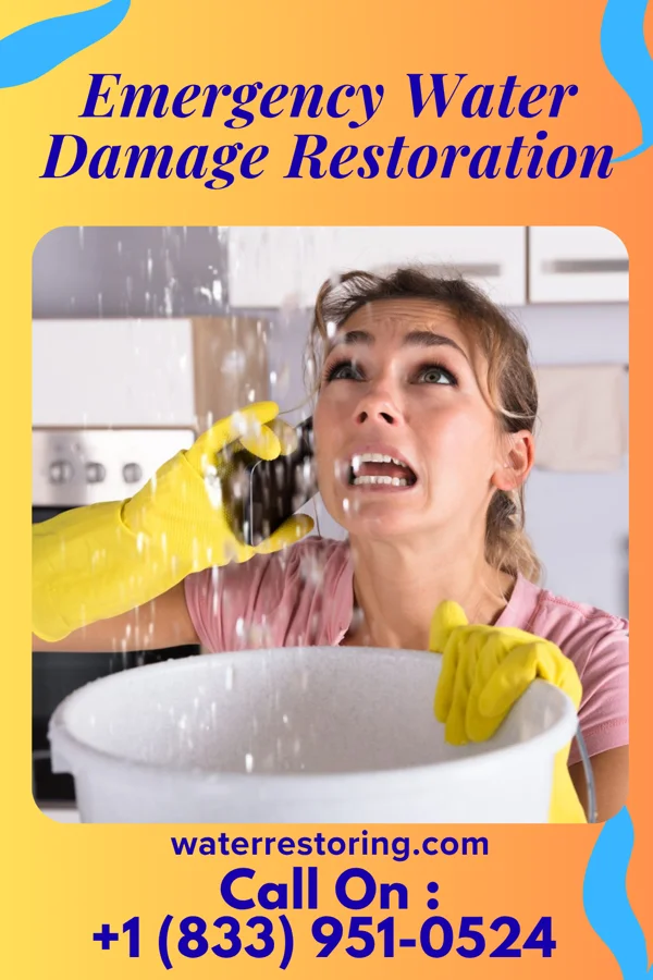 Emergency Water Damage Restoration in Foreston, SC